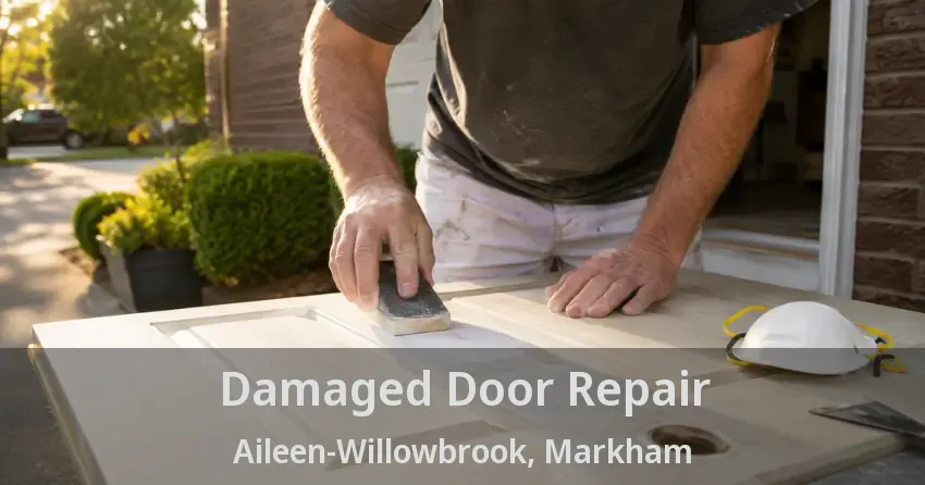 Damaged Door Repair Aileen-Willowbrook, Markham - ON