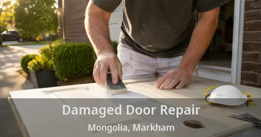 Damaged Door Repair Mongolia, Markham - ON