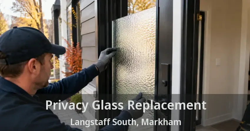 Privacy Glass Replacement Langstaff South, Markham - ON